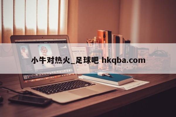 小牛对热火_足球吧 hkqba.com